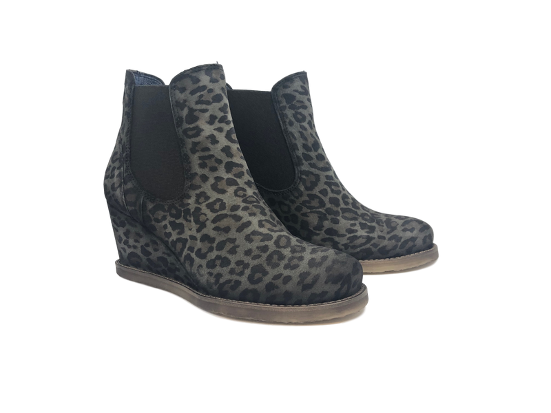 PINTO DI BLU PARADOX – Stepping Out NZ - Main Image