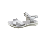 ECCO CRUISE