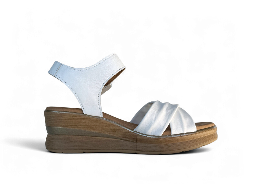 PITILLOS 10352 PADRE