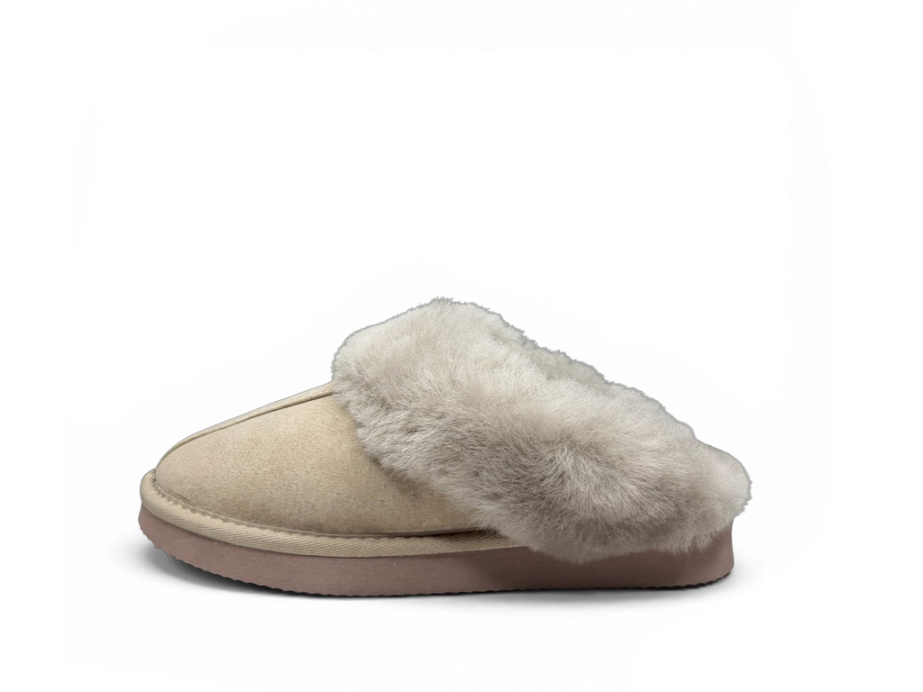 MI WOOLLIES TE ANAU
